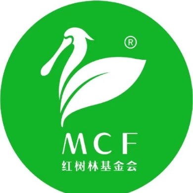 红树林基金会