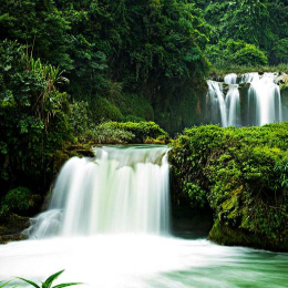 刘老师谈特殊教育