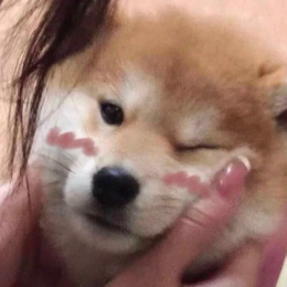 这世界那么多人