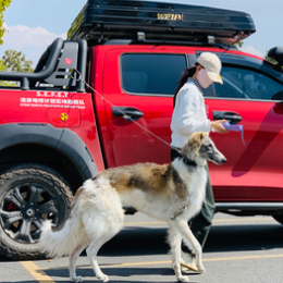 一朵行走的浪花