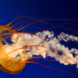 娱乐快讯北京站