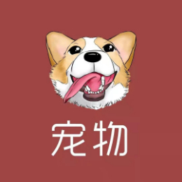 我是宠物知识讲解员