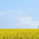 七哥侃历史故事汇