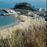 丸子热爱旅行