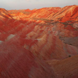 雪儿生活在日本