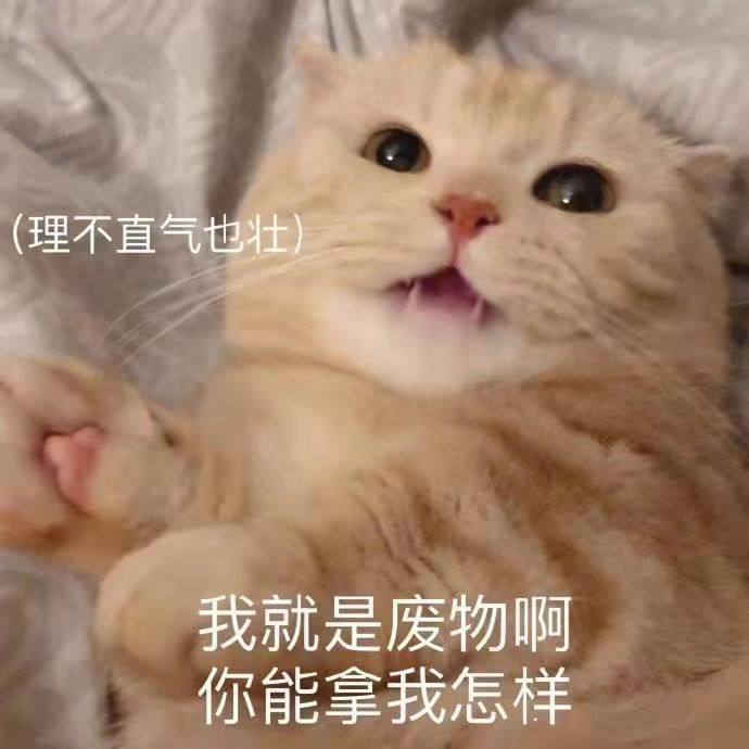 理夕