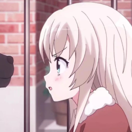 分享卢顺义的日常