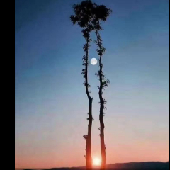 云淡风轻轻谈风云