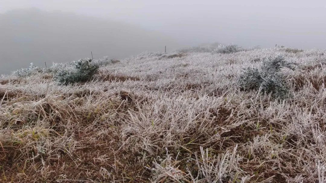 云浮大金山下雪图片