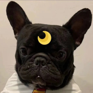 法斗去斗牛开饭啦丶