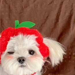 滴滴答答啦啦啦