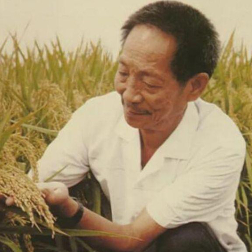 湖南省隆平培训中心