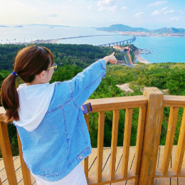 小菲的海岛生活