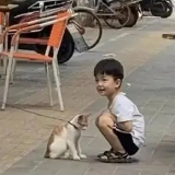 秦纸月