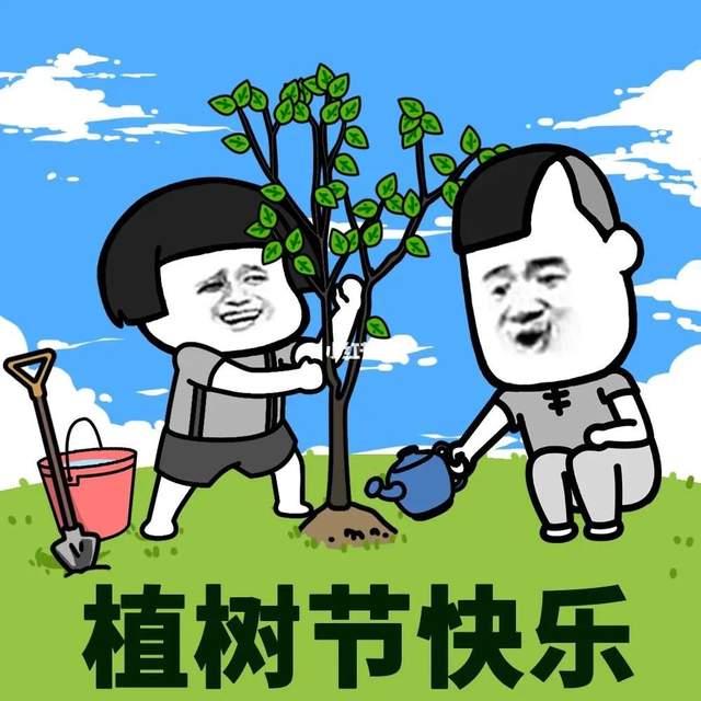 种树表情包图片