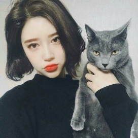 少龙谈影视