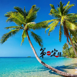 XR数字化虚拟仿真