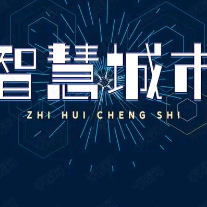 智慧城市研究小静