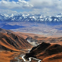 人力资源数字化