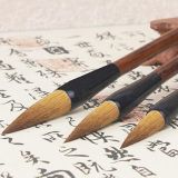 博学多才的北瓜