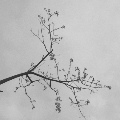 海绵宝宝的眼泪