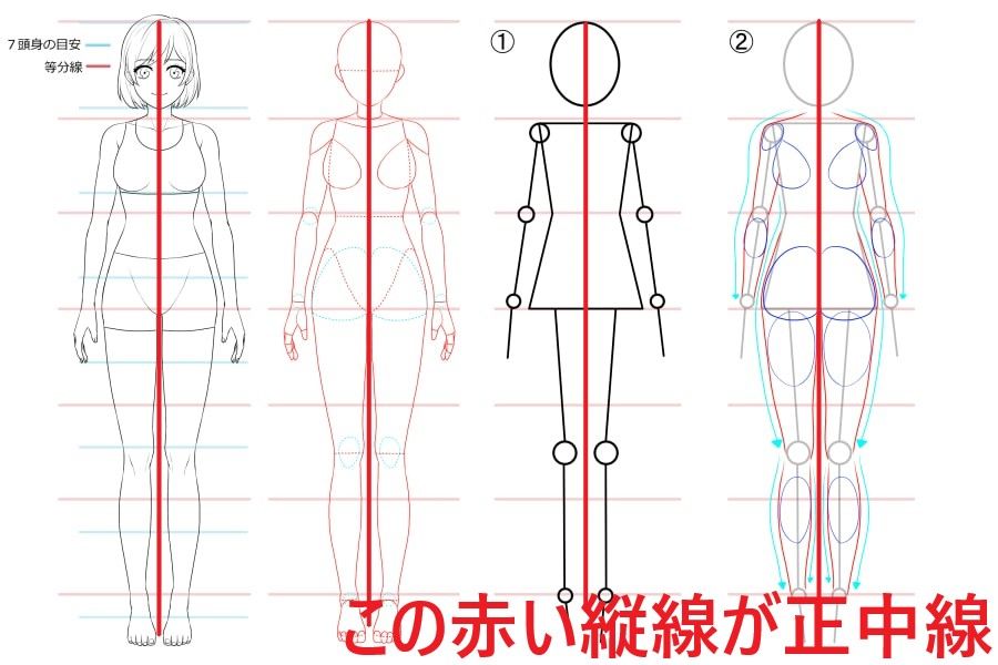 立绘人物站姿怎么画?简单讲解人体站姿画法教程