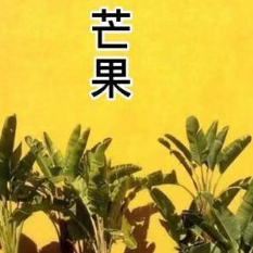 大芒果电影