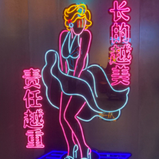 吃喝玩乐小侦探