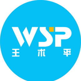 德力威尔王术平