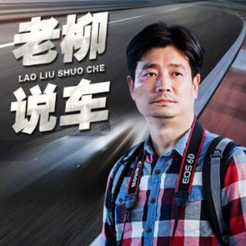 局气的老柳说车