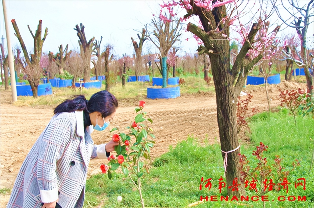 夏邑县蒋铁亮图片