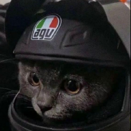 小鹿于心