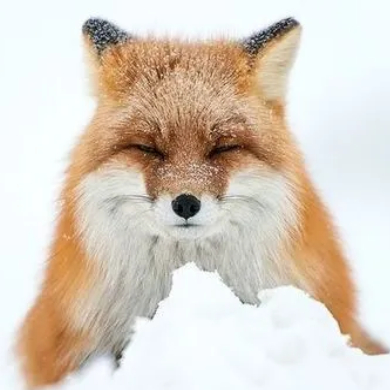 金钱的铜臭