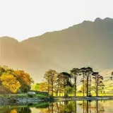 小伟哥法谈物业