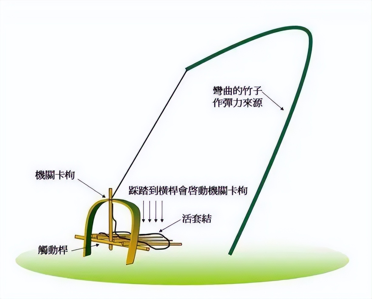 野鸡脖套制作方法图片