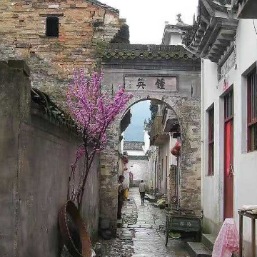 巷子里的家长里短