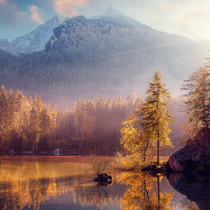 爆笑每日分享社