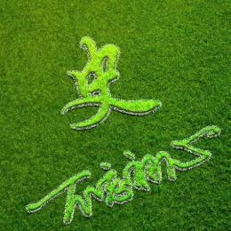 网易阳光正能量