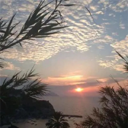 橙子香蕉苹果