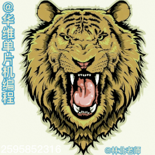 林老师授单片机