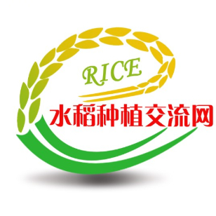 水稻种植交流