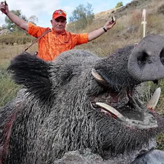 全职猎人特靠谱