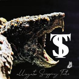 小韬的养龟日记