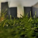 讲故事的蒋同学