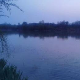 深巷明朝卖杏花