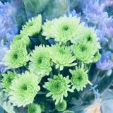 努力前行的资深HR