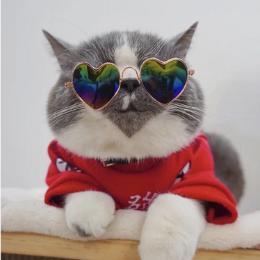 城乡结合部狗蛋吖