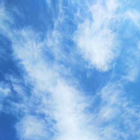 飞飞的海边生活