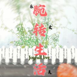腕转生活