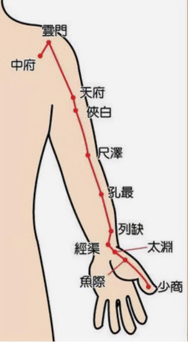 小儿肺经的准确位置图图片